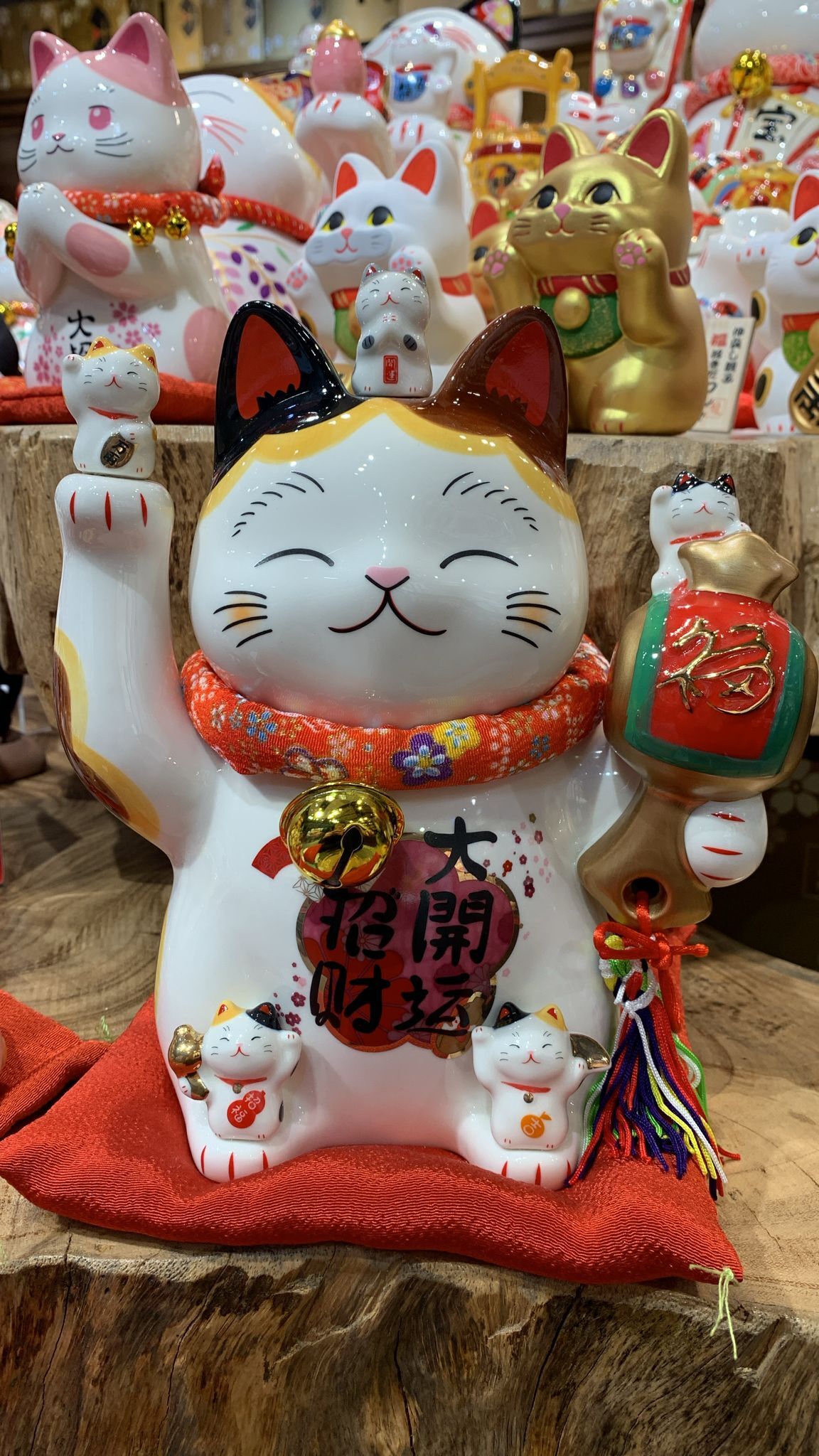 【直播】LL0106459 招福招財貓錢罌 (FY4509)