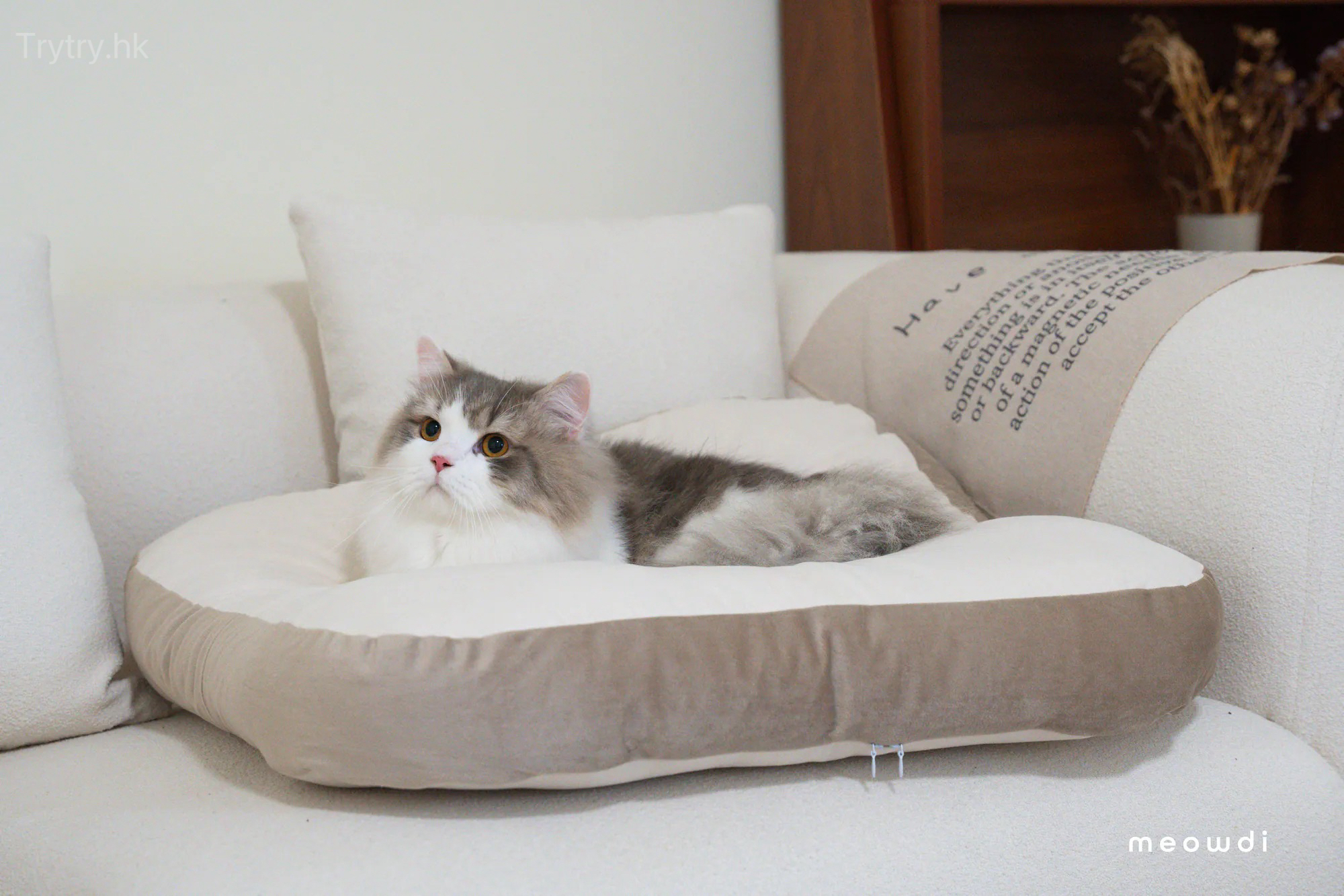 Meowdi 喵的｜吐司好眠枕