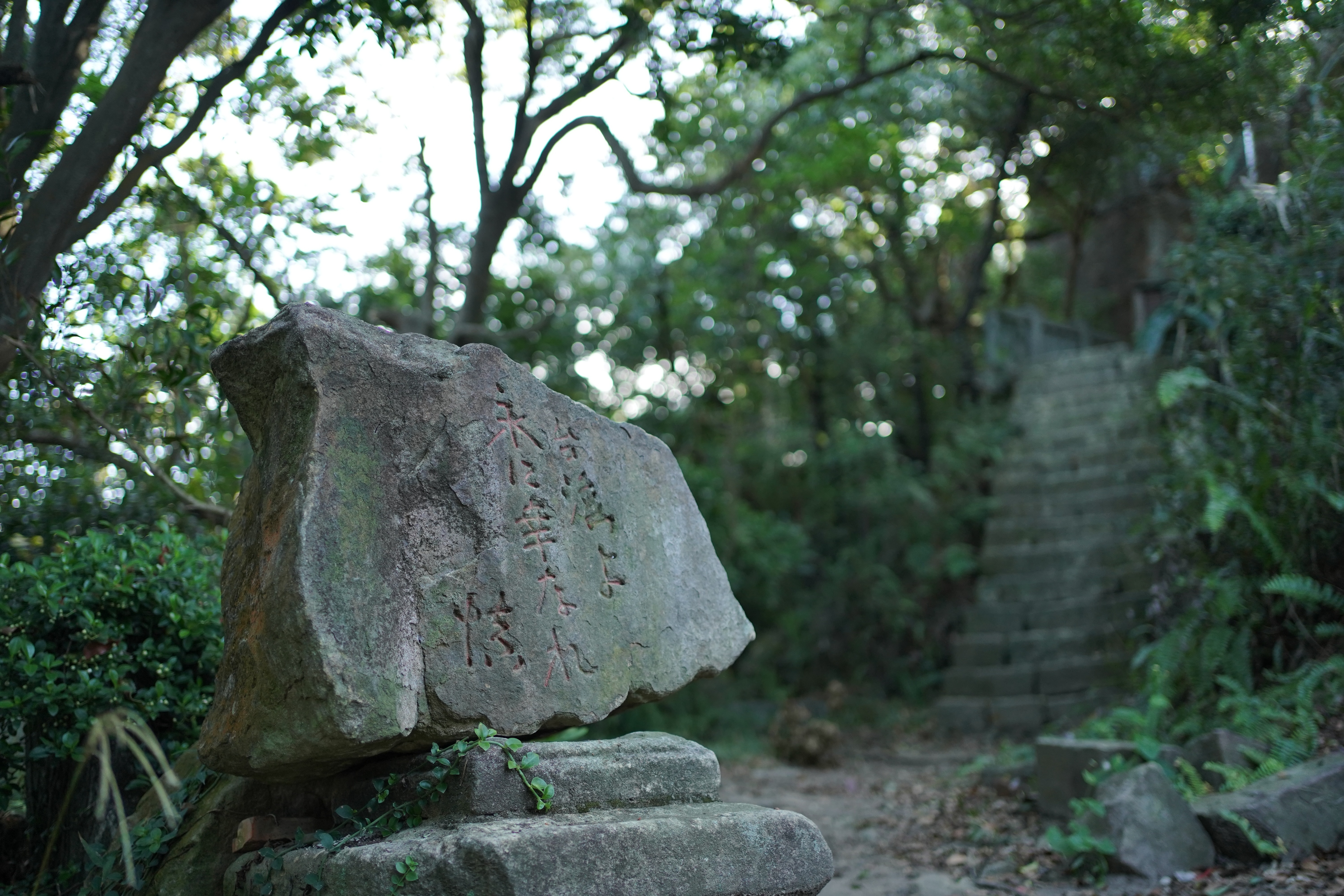北投越野跑旅｜循跡北投｜新手友善