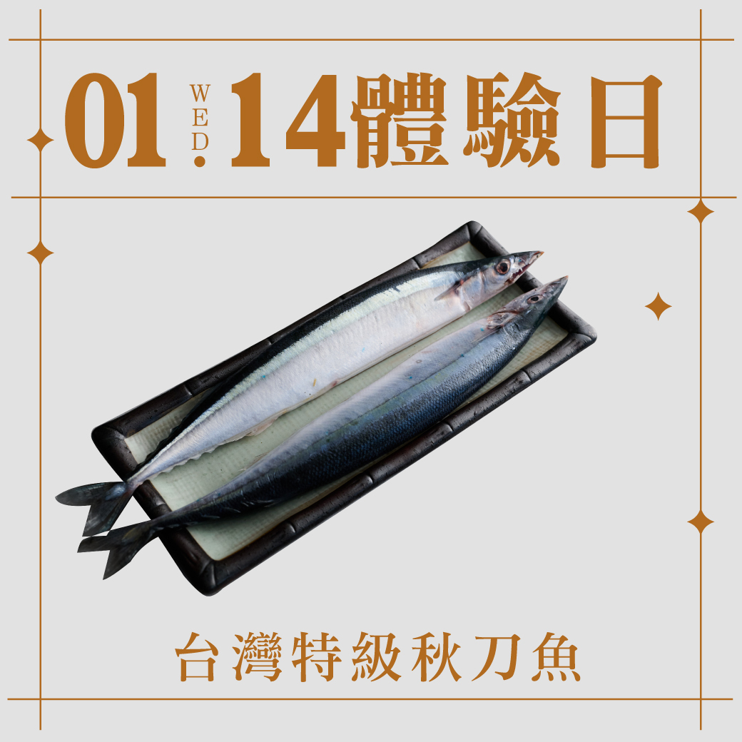 1/14 體驗日｜台灣特級秋刀魚