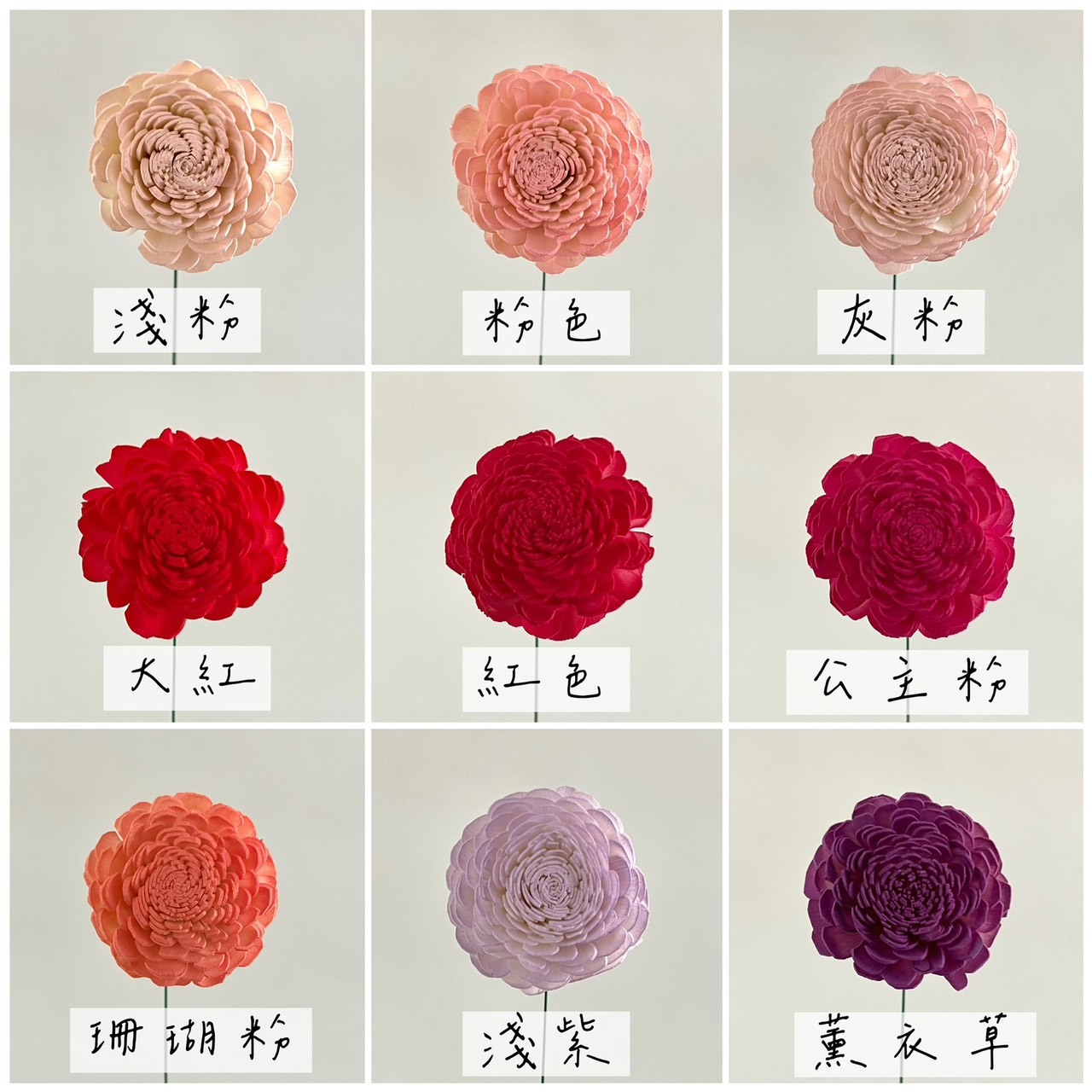 印度索拉玫瑰花8cm系列<五支一把>