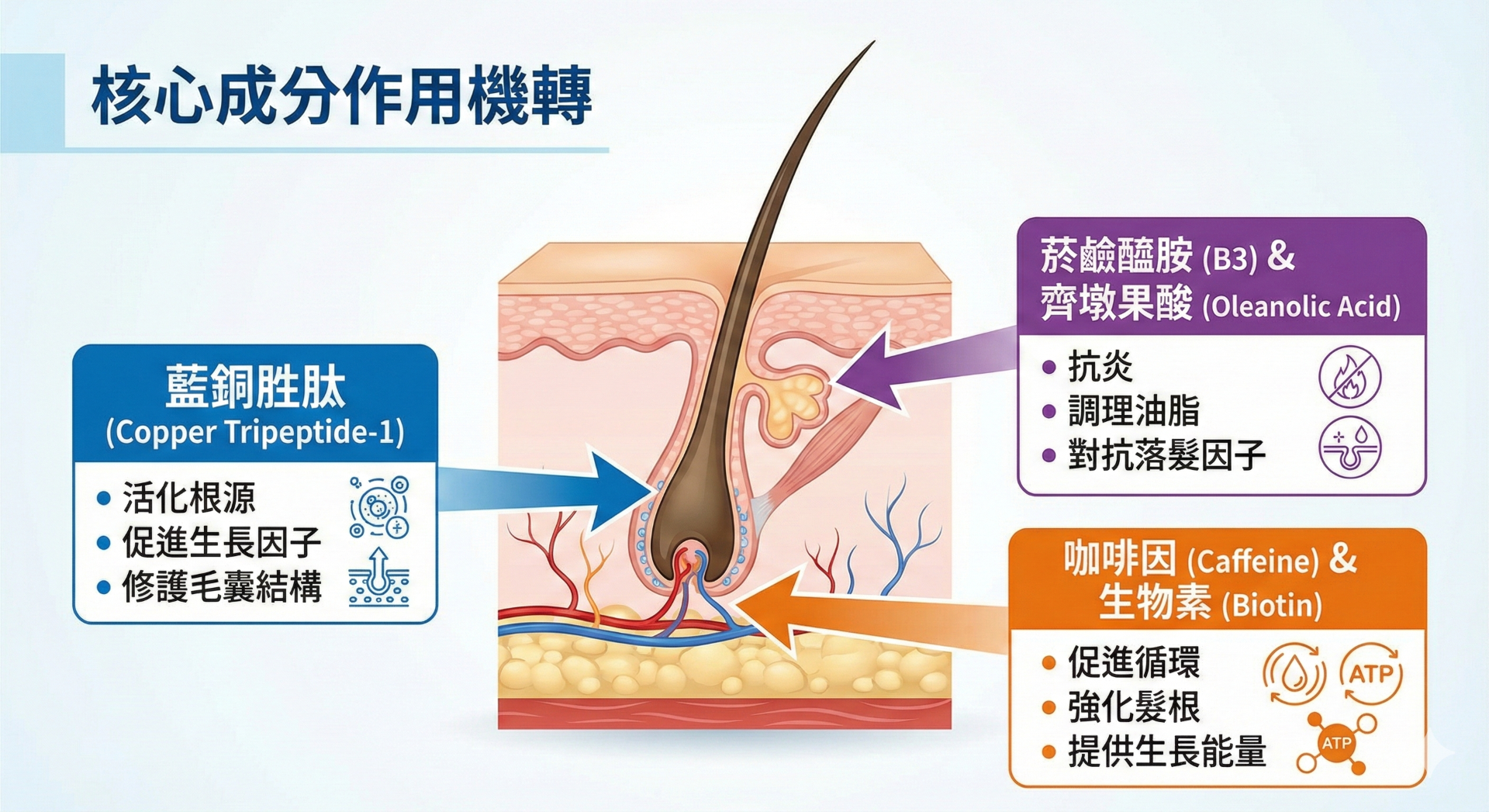 臨床報告總結影像