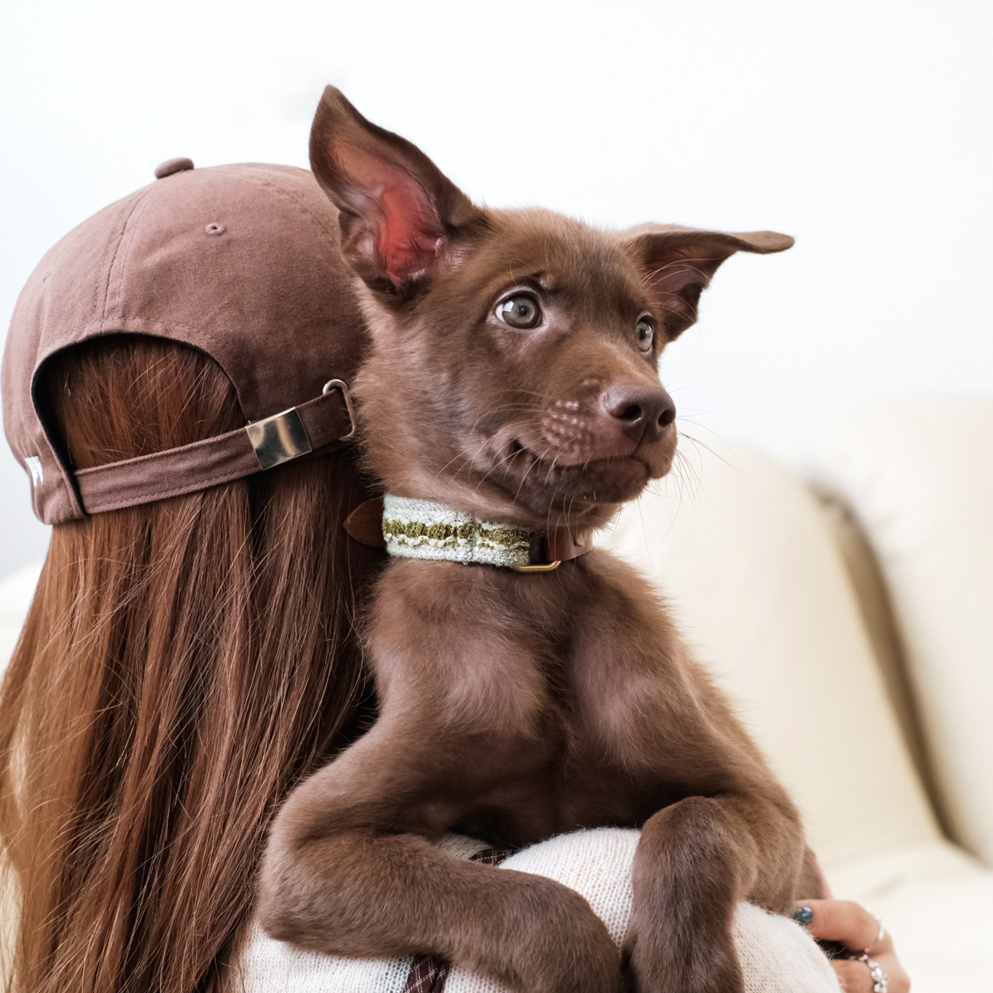 PuriPuri® 寵物項圈 – 抹茶山丘