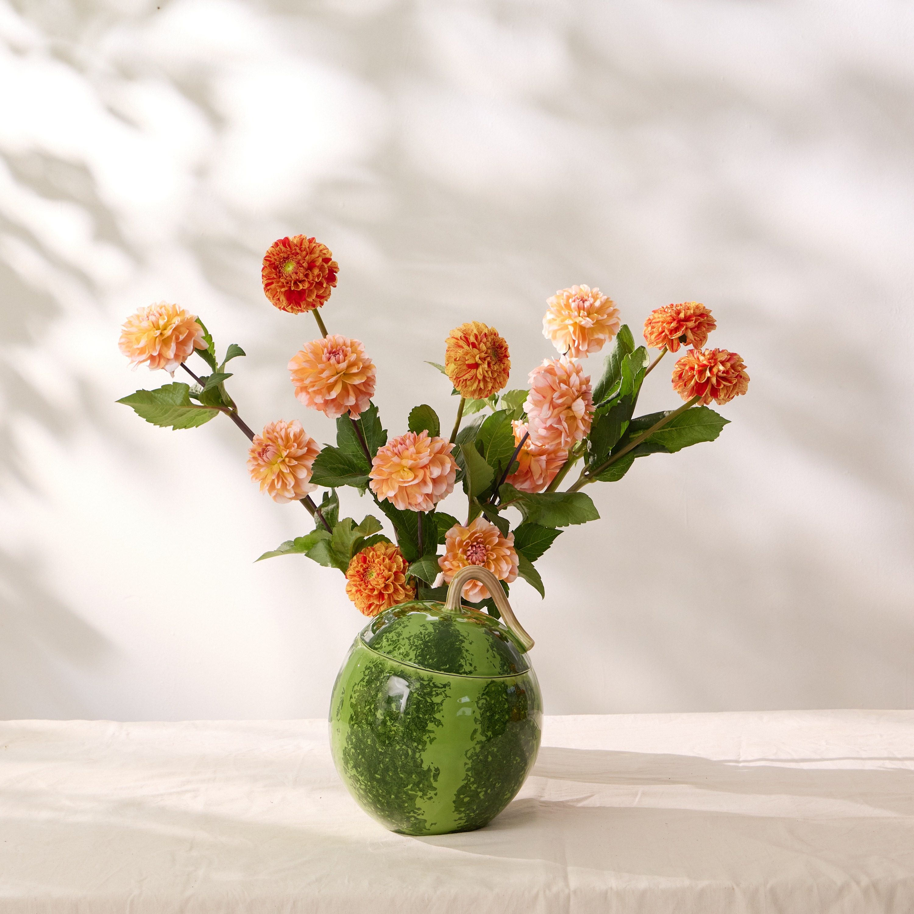 BORDALLO PINHEIRO｜Watermelon 系列 - 餐盤 20cm