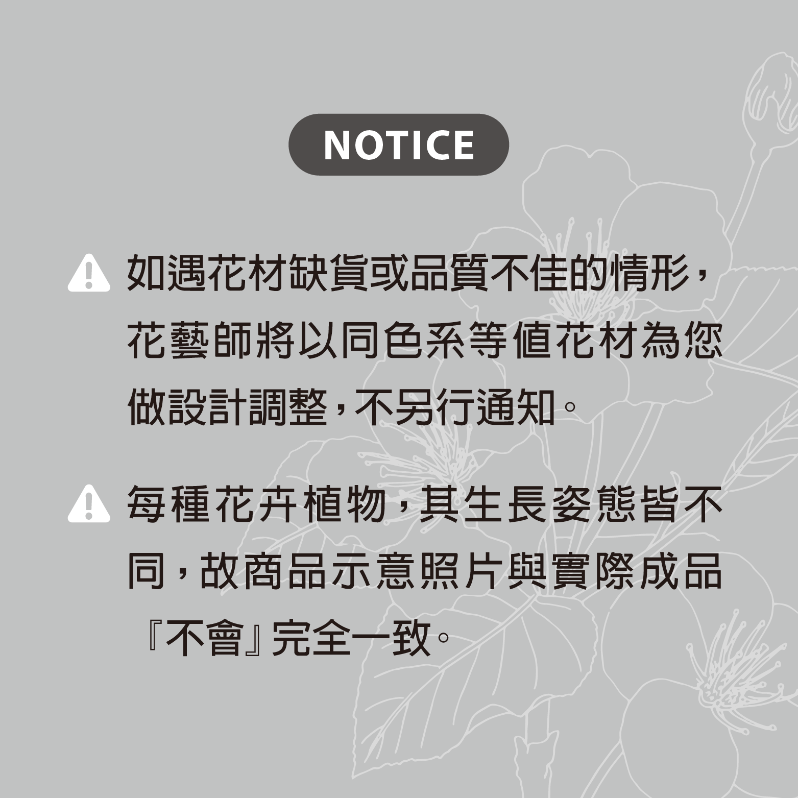 追光少女