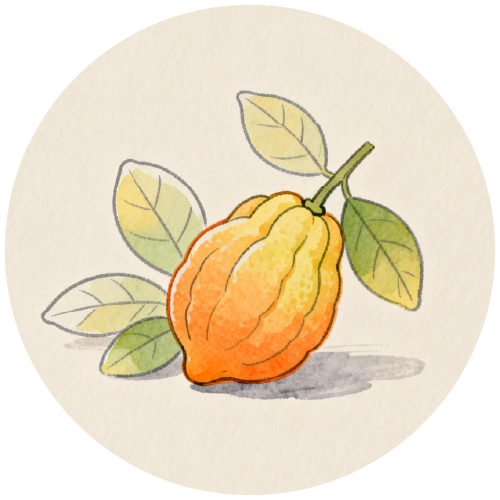 植萃精油成分：佛手柑