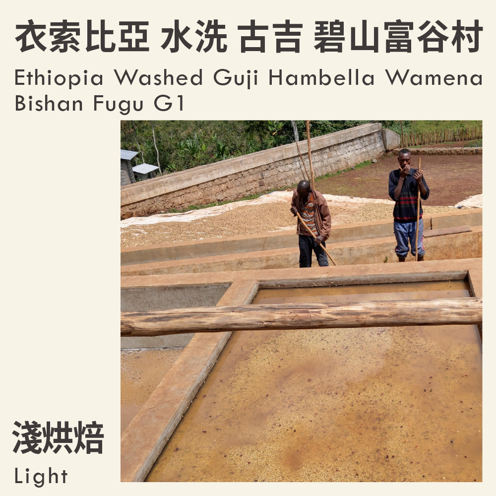 衣索比亞 水洗 古吉 罕貝拉 瓦米娜鎮 碧山富谷村 G1