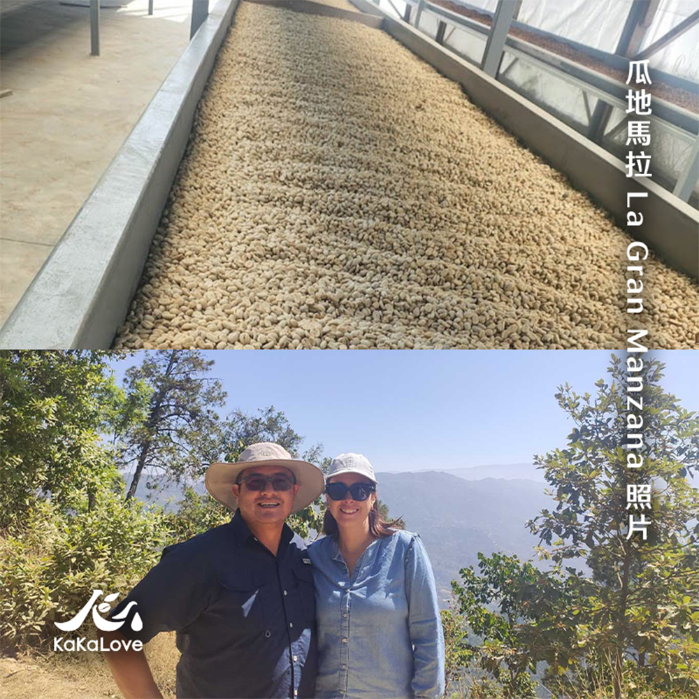 [瓜地馬拉 2025 COE競標 冠軍] 水洗 薇薇特南果 La Gran Manzana 藝伎 20g