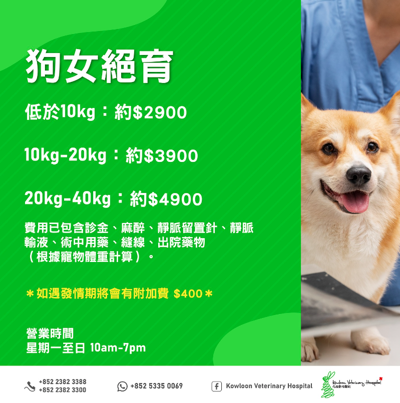 KVH - 狗狗絕育保健計劃 (狗仔 & 狗女)