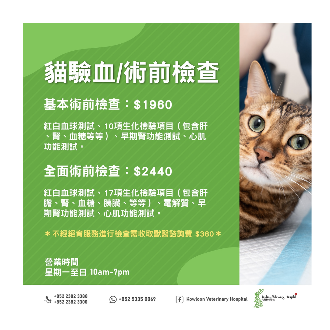 KVH -貓狗 驗血保健計劃