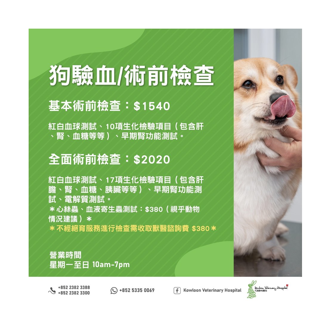 KVH -貓狗 驗血保健計劃
