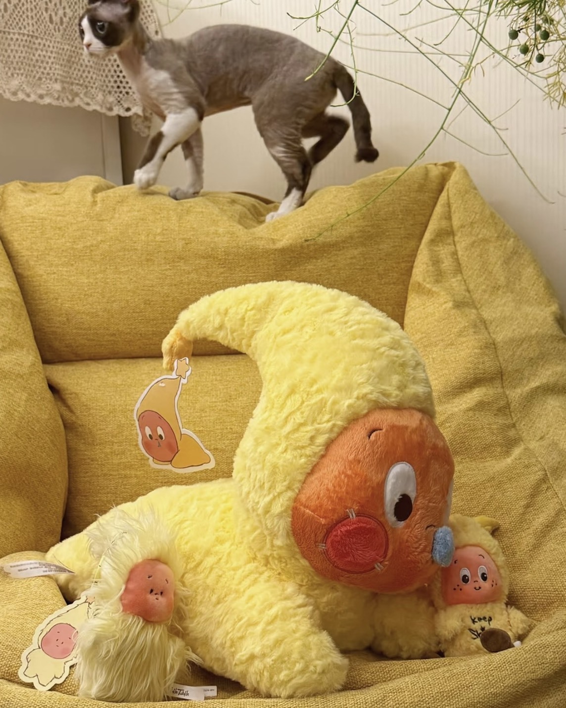 【預購】POP MART 星星人抱枕  PPMT24090031