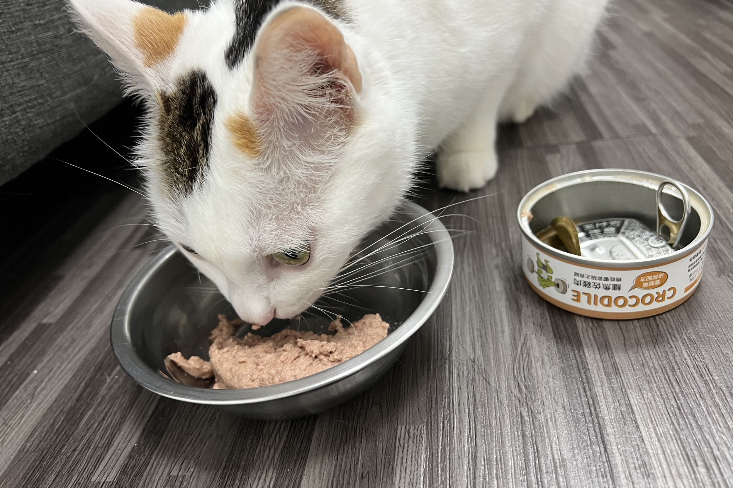 貓咪吃派庫機能主食罐的照片