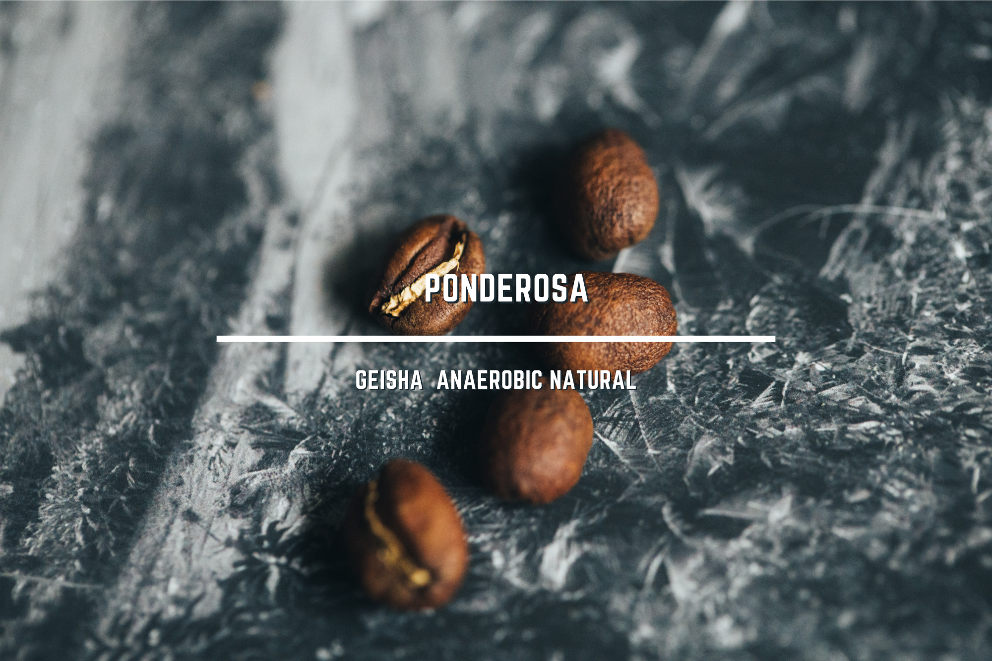 < NEW > 巴拿馬 巴魯火山 龐德羅莎莊園 藝伎 厭氧日曬 - 雞蛋花 / 青蘋果 / 百香果 / 脆桃 / 檸檬愛玉 / 梅酒