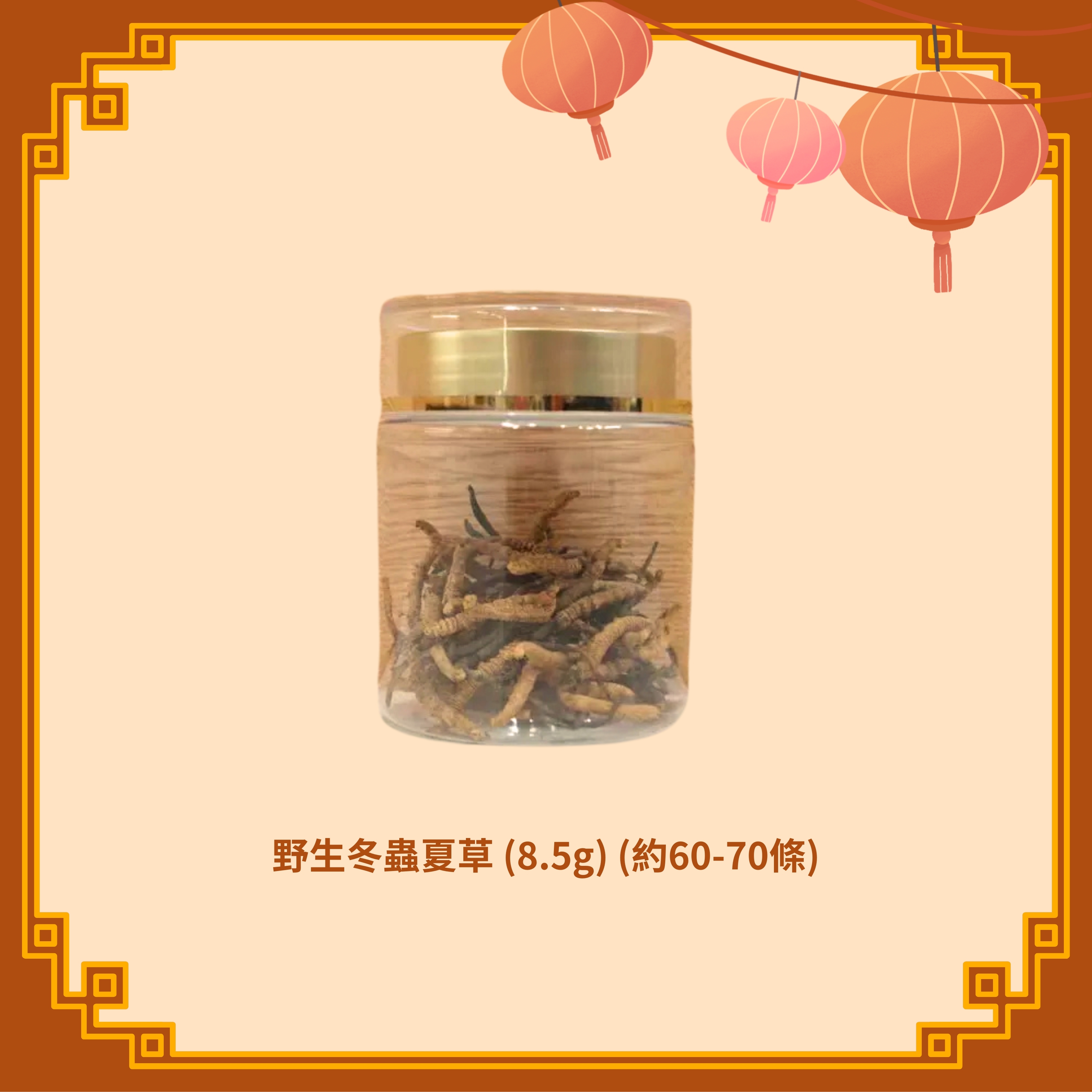 野生冬蟲夏草 (8.5g) (約60-70條) - 2款選擇 (H95-96)