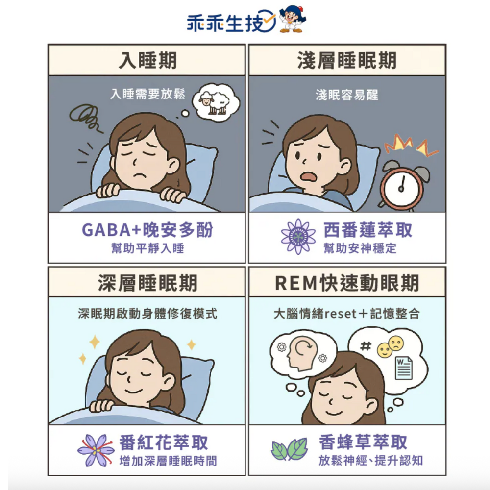 睡眠週期