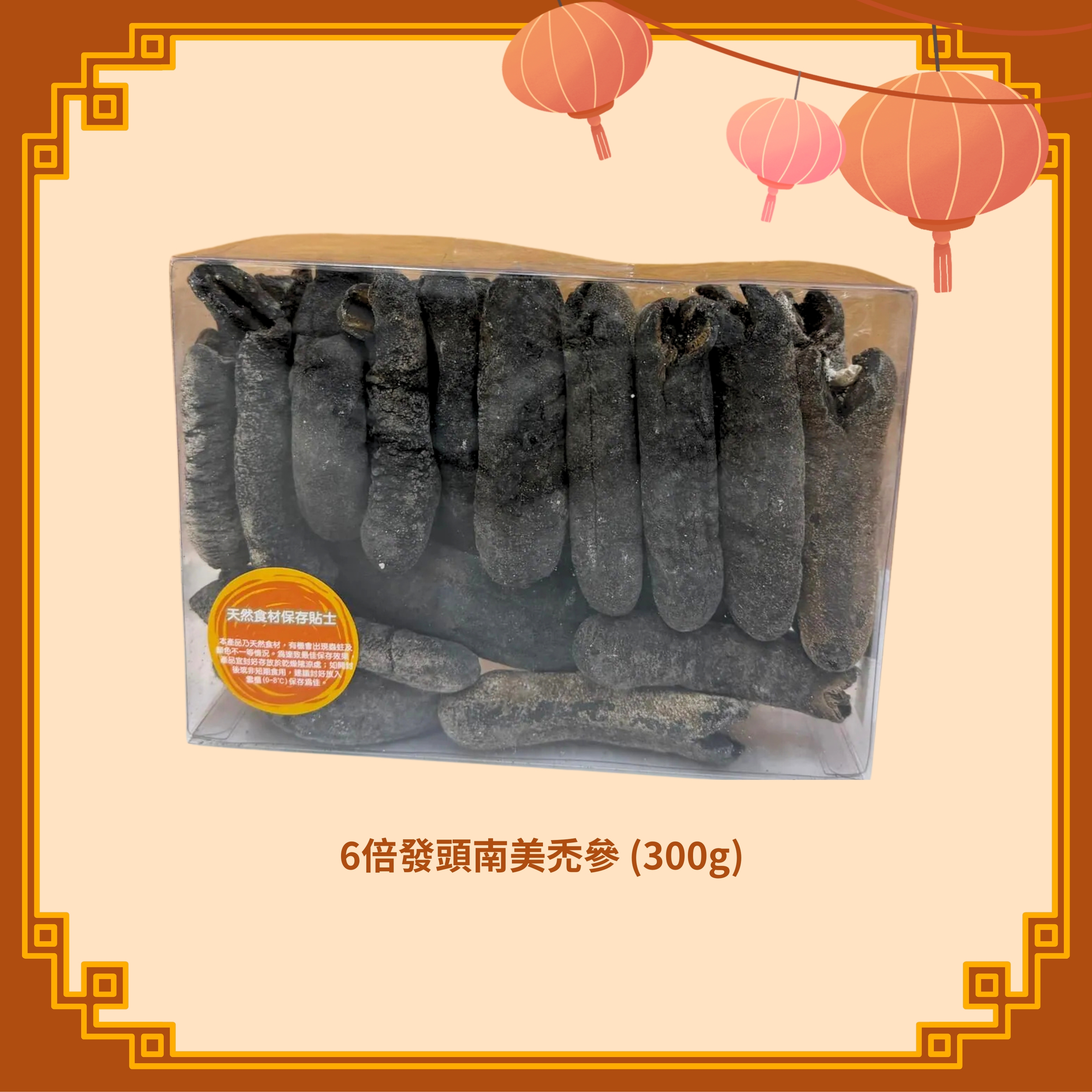 6倍發頭南美禿參 (300g) - 2款選擇 (H87-88)