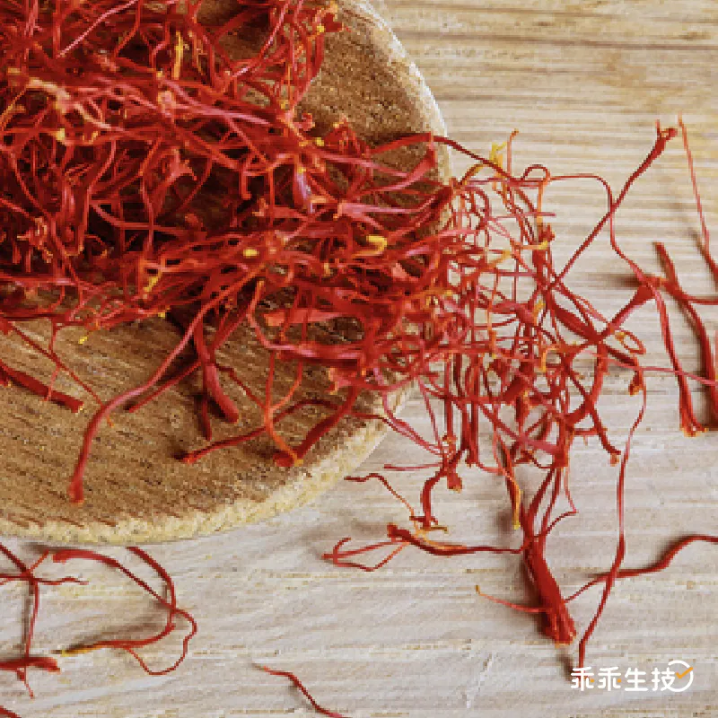 西班牙最高品質番紅花