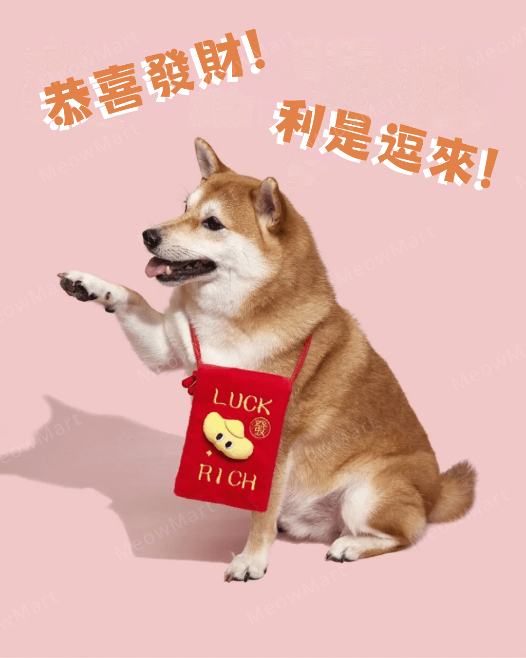 恭喜發財利是袋