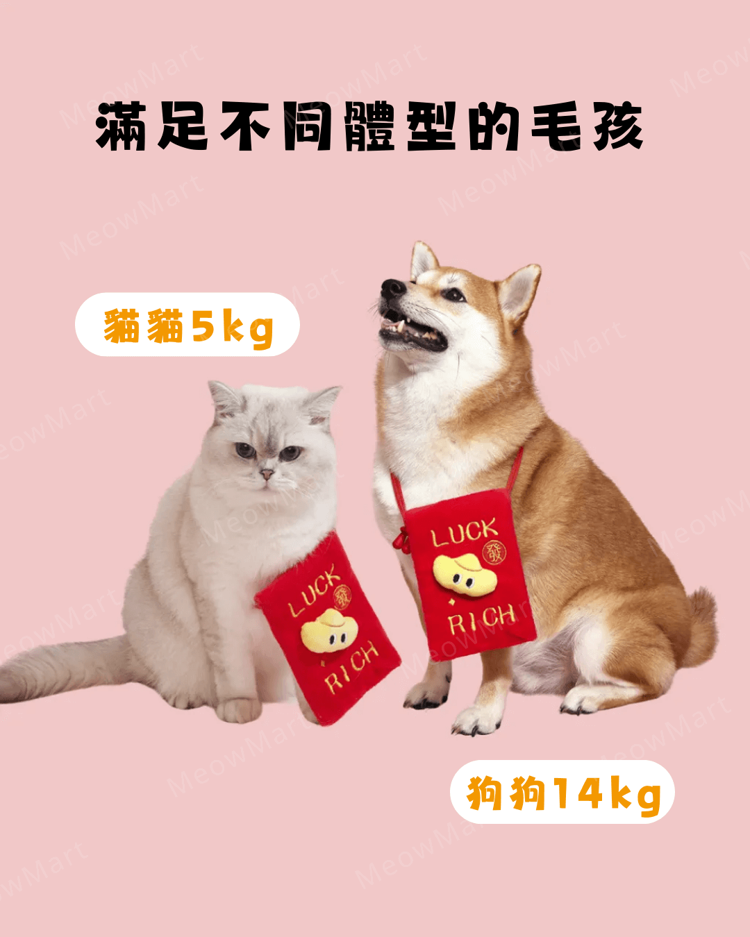 恭喜發財利是袋