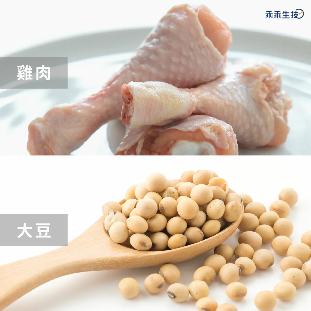 高蛋白食物雞肉大豆