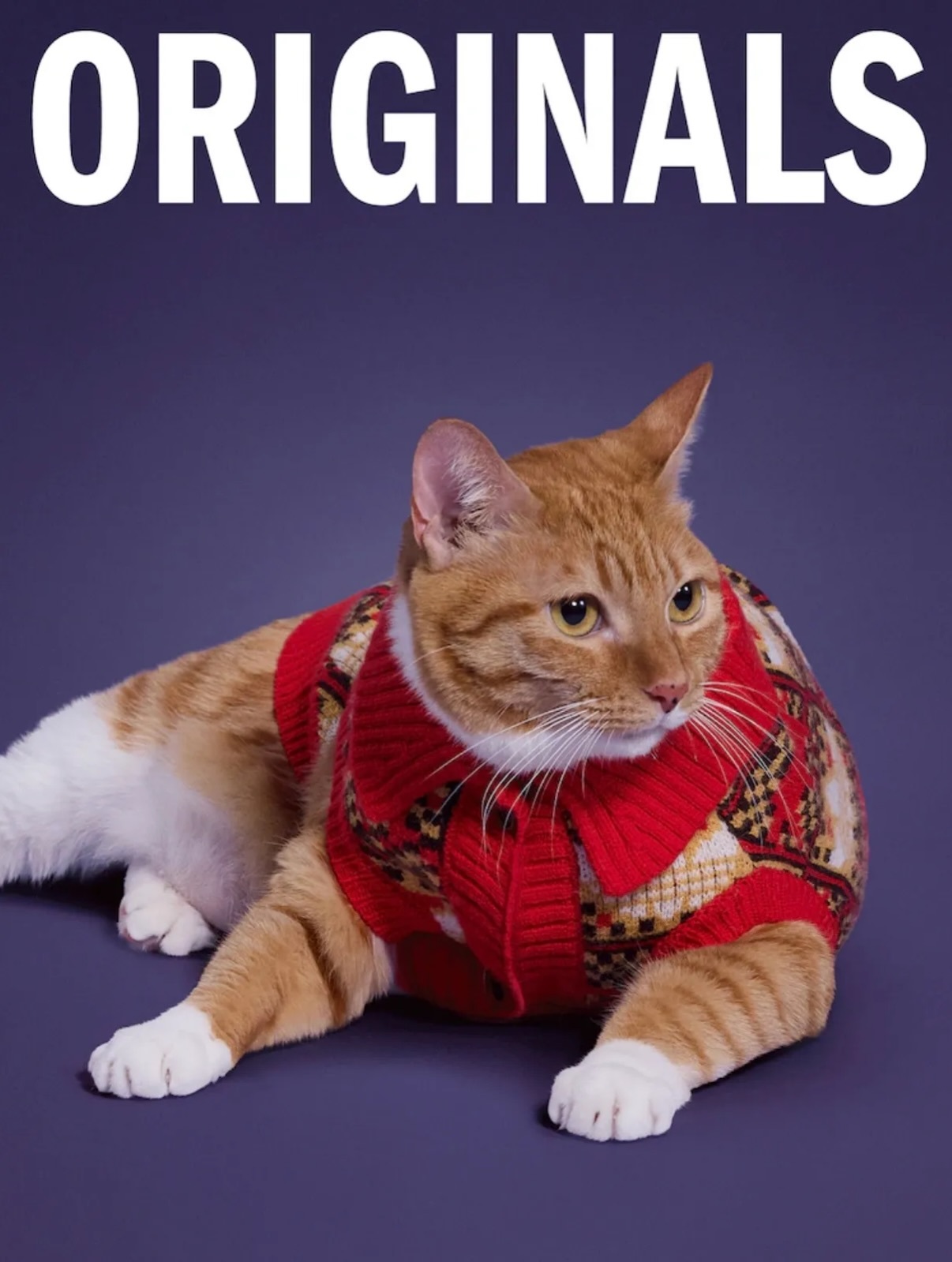 (預訂) Adidas Pet Set 寵物配件