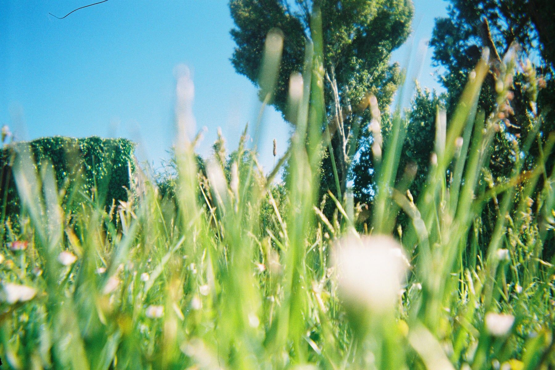 Kodak Gold 200 - 36Exp 135/35mm Film 菲林