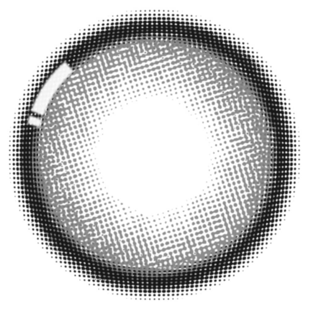 [15.0mm] Honey Kiss 1 Month Chulun Candy Cat Gray｜月拋彩妝隱形眼鏡｜每盒2片