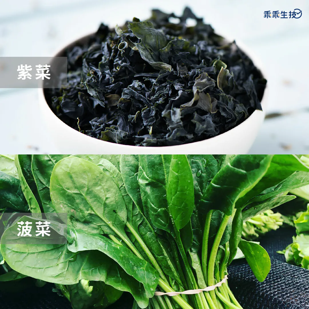 鐵質食物紫菜菠菜