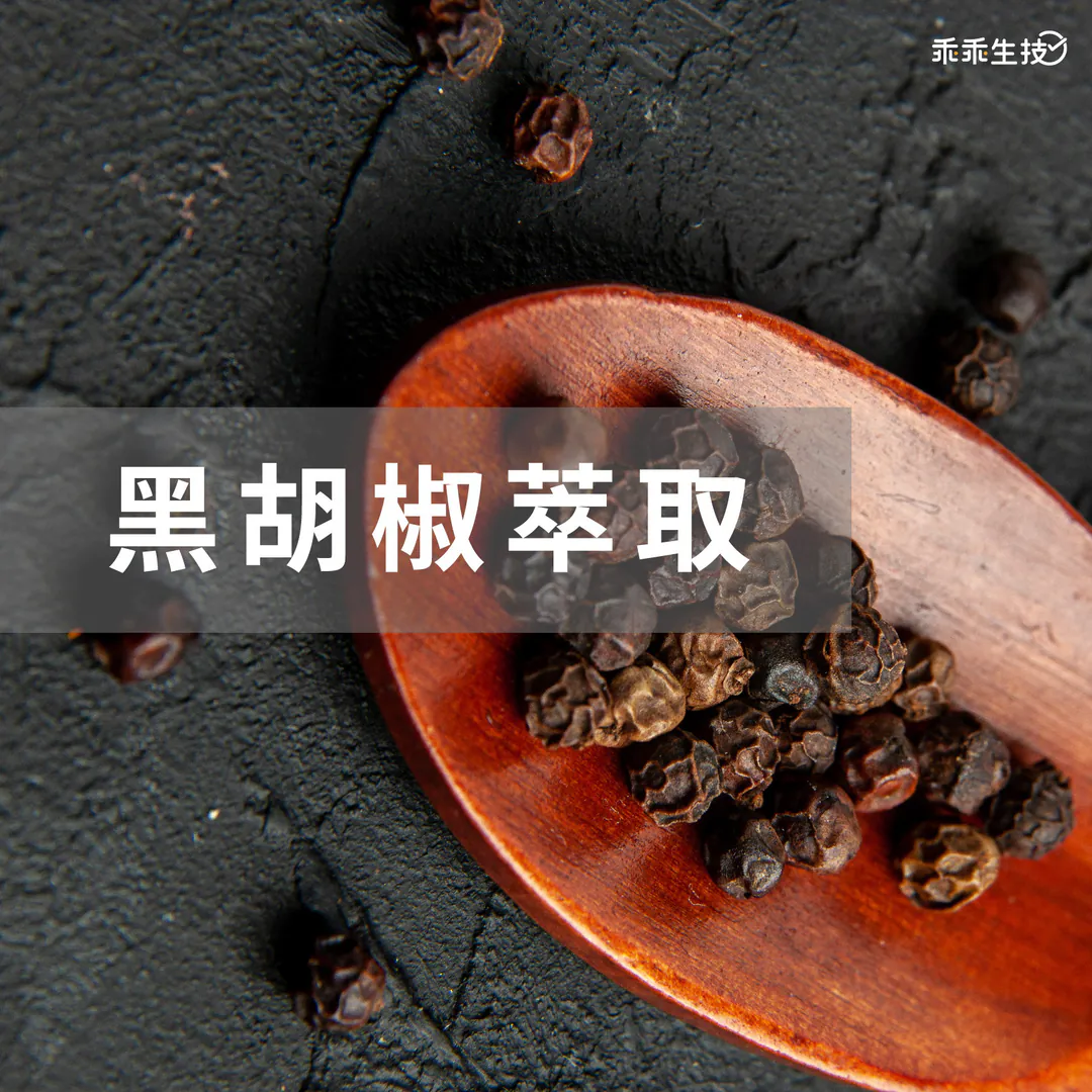 黑胡椒萃取