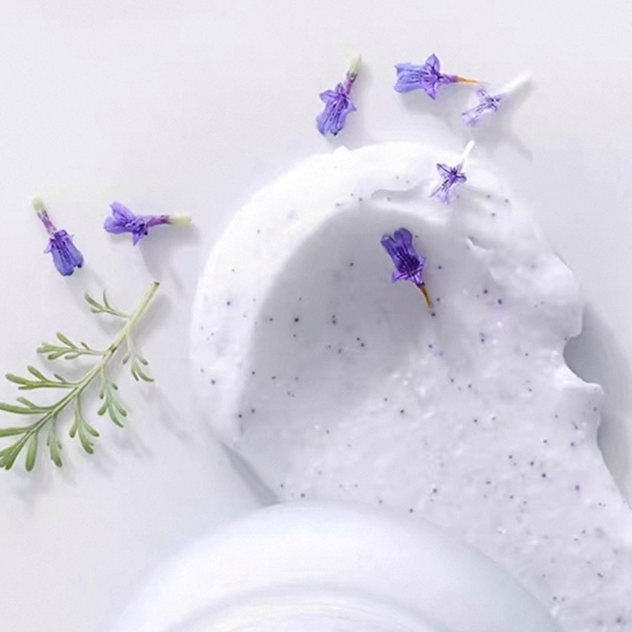 (預購商品) SABON 二合一臉部磨砂膏-舒緩薰衣草 15ml