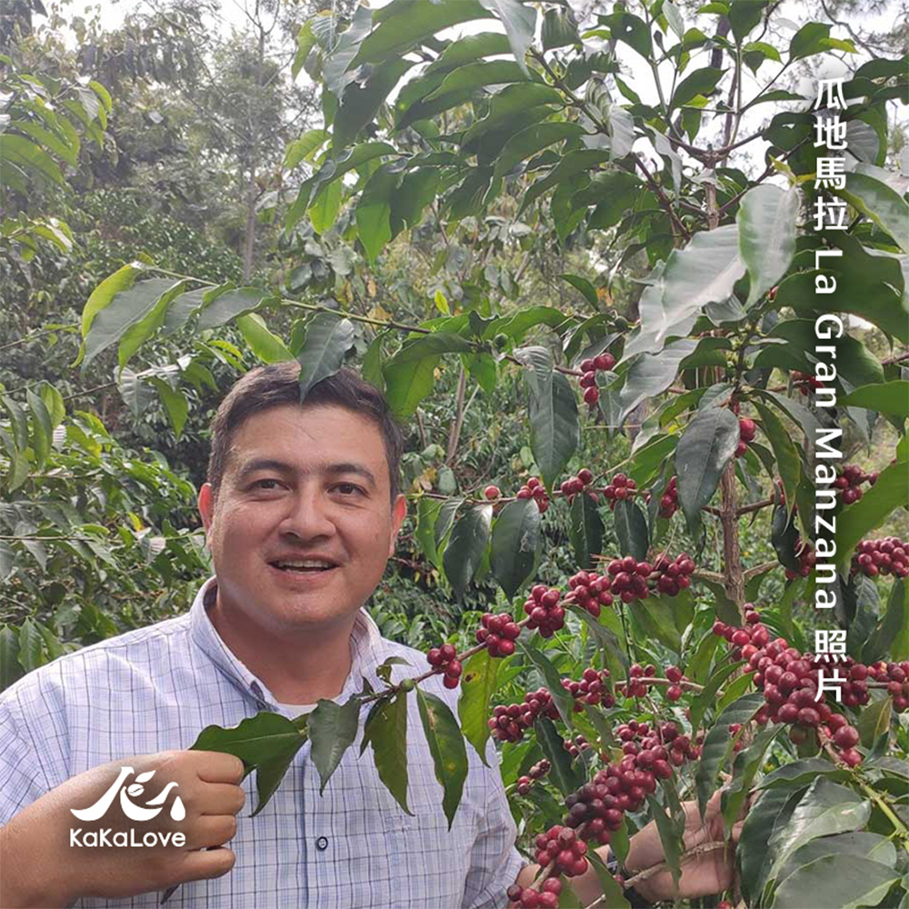 冠軍之友：[COE競標] 瓜地馬拉 2025 冠軍+CR96 [Tamiru] 衣索比亞 日曬 Tuke，2支共0.25磅+20g