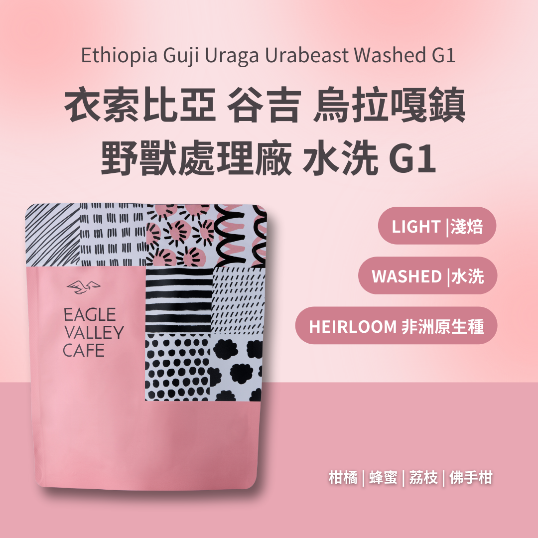 衣索比亞 谷吉 烏拉嘎鎮 野獸處理廠 水洗 G1 淺焙 咖啡豆