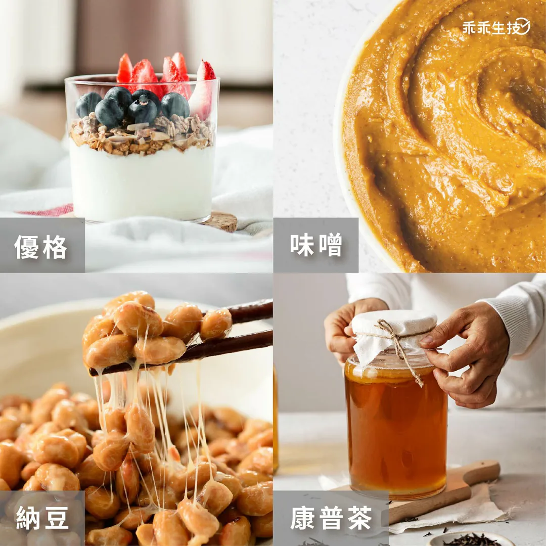 優格、味噌、納豆、克非爾、康普茶