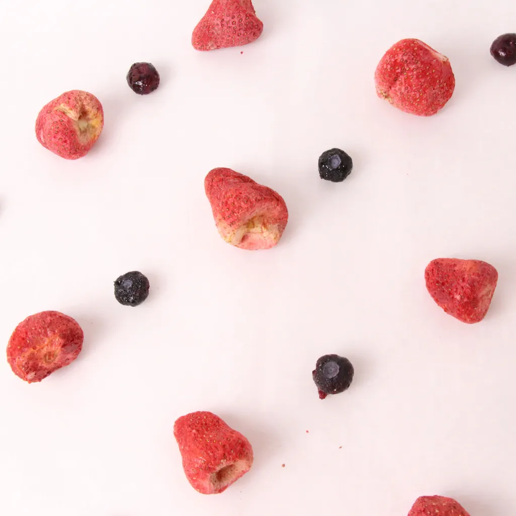 良犬肉鋪｜綜合莓果凍乾