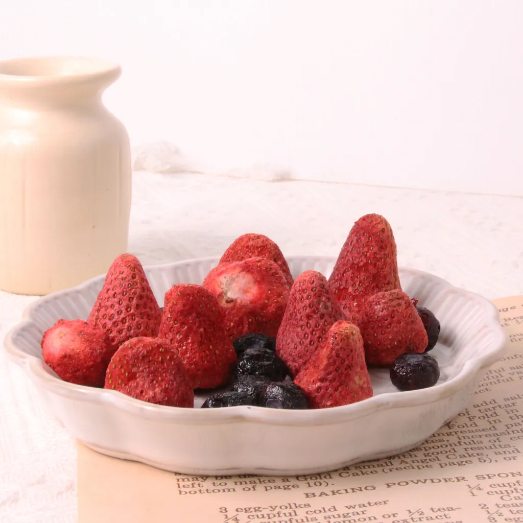 良犬肉鋪｜綜合莓果凍乾