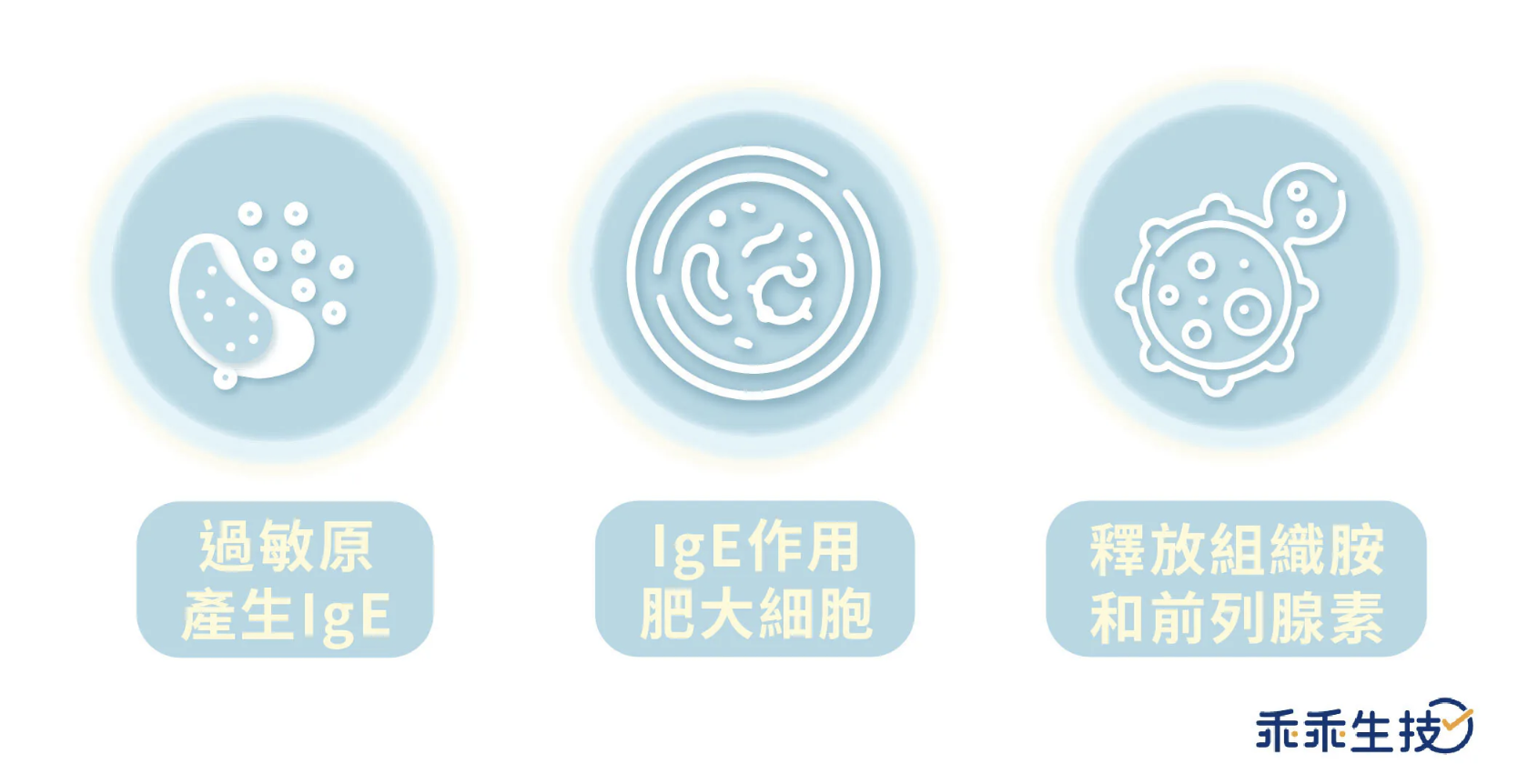 過敏原特異性抗體IgE