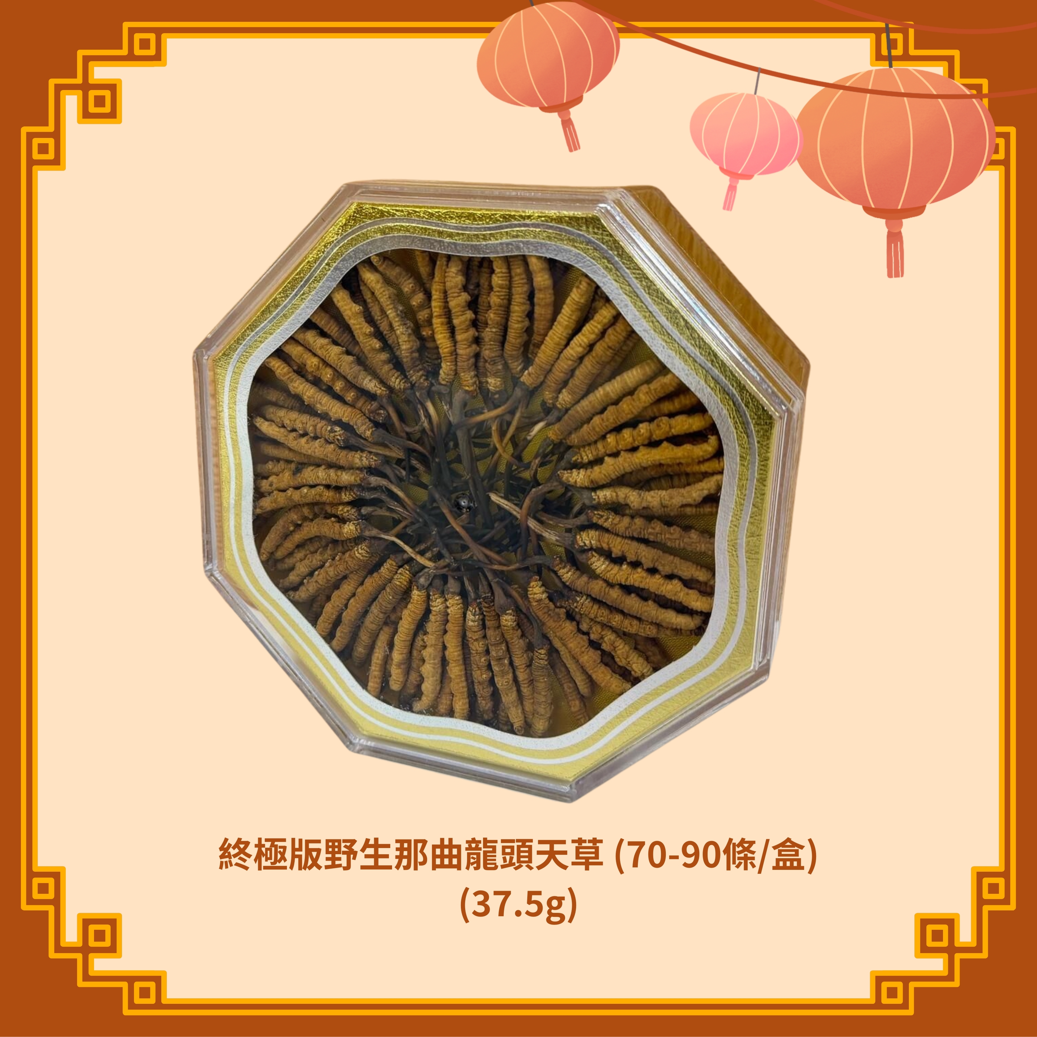 終極版野生那曲龍頭天草 (70-90條/盒) (37.5g) - 2款選擇 (H198-199)