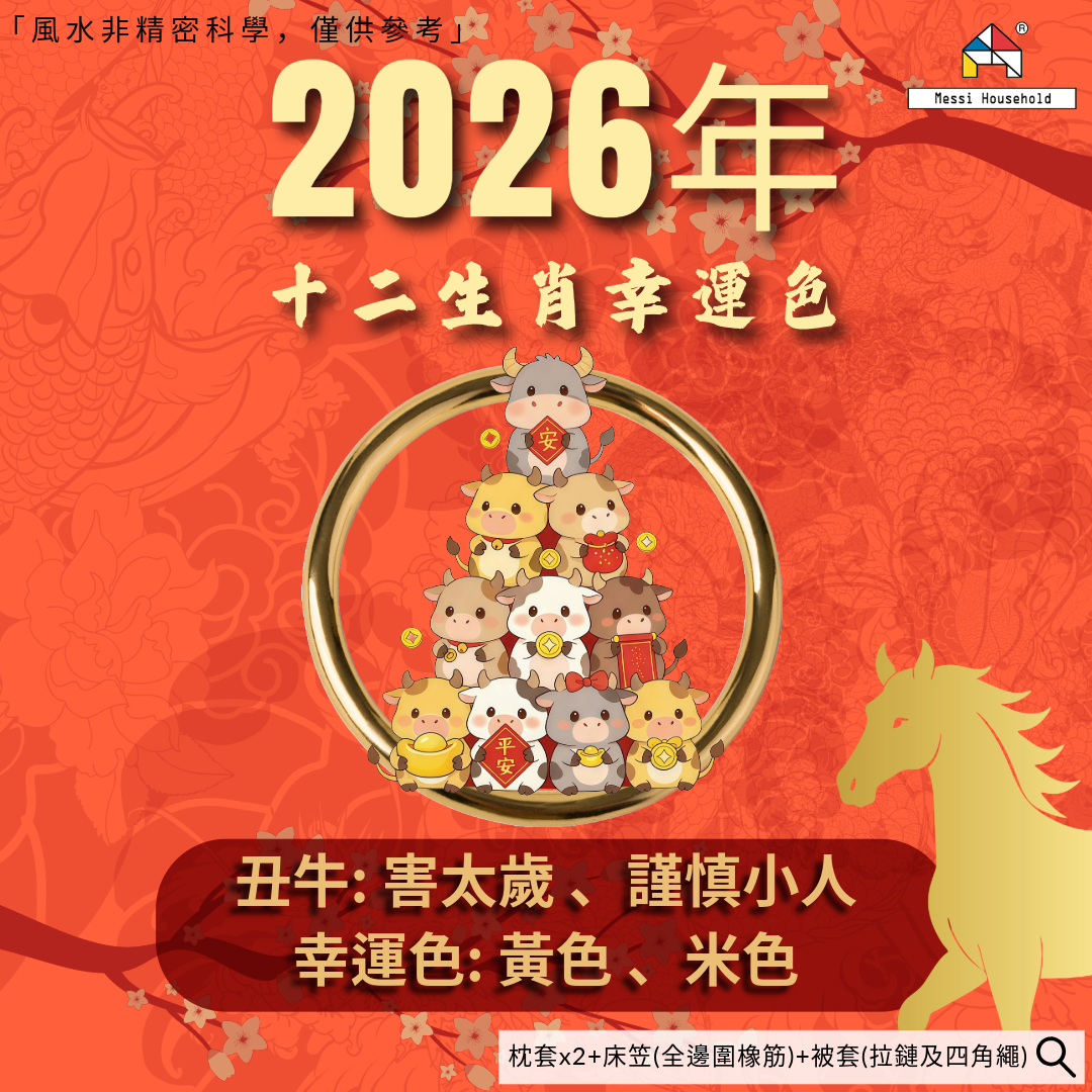 極簡主義純色加厚床品4件套裝 P24