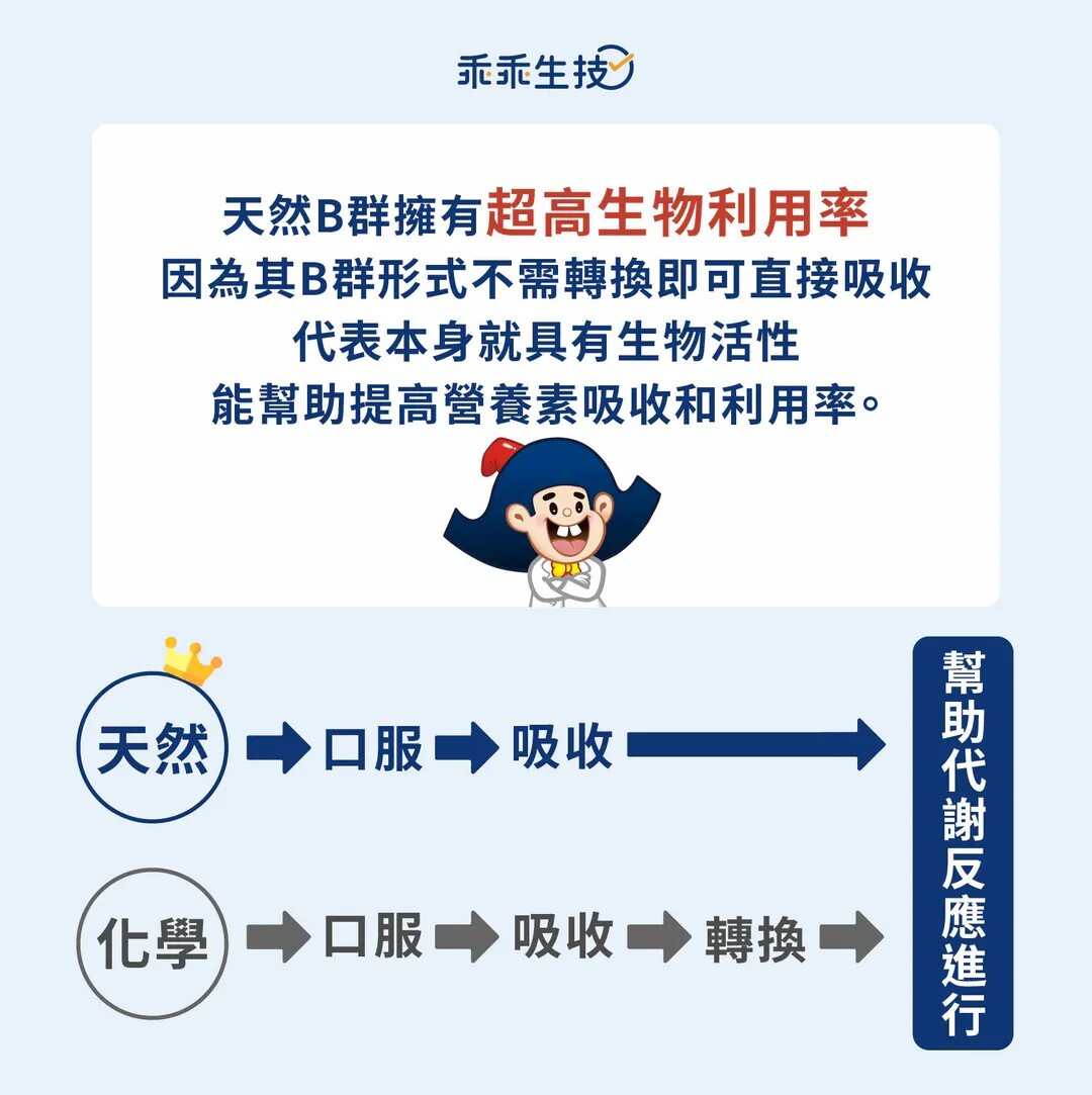 天然B群與化學B群的生物利用率比較
