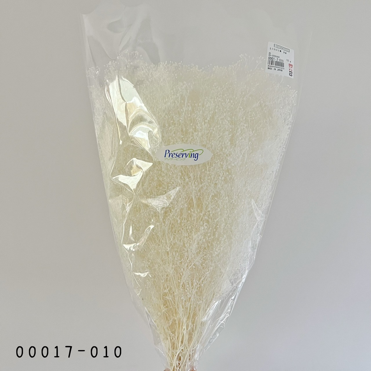 日本不凋迷你滿天星(大束) 00017-010