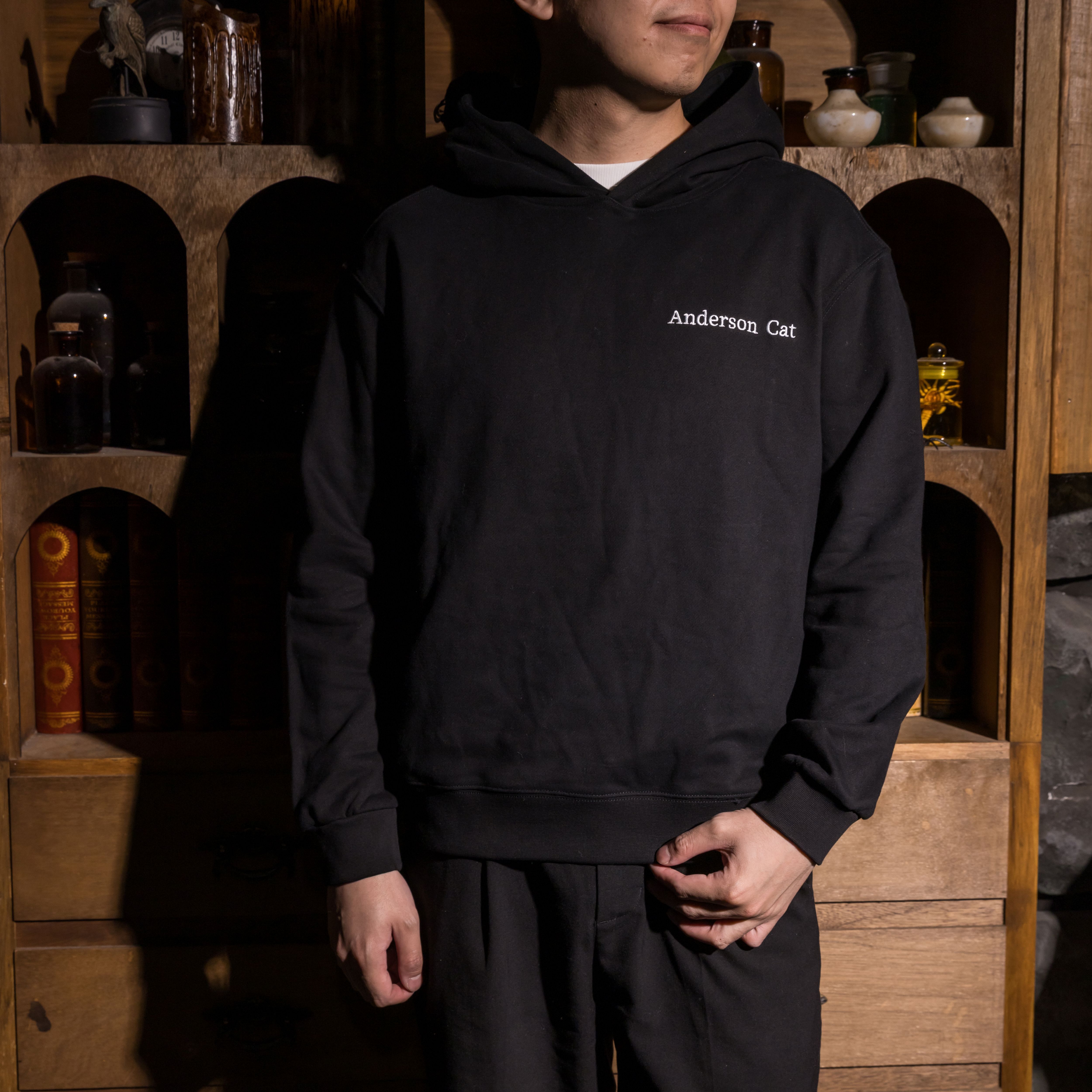 世界古文明藝術厚磅帽T｜安德森貓 黑