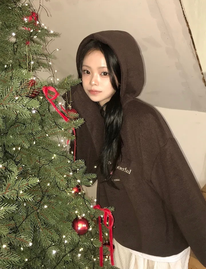 【優惠價預訂】韓國星球FLEECE HALF ZIP 連帽衛衣（3色）