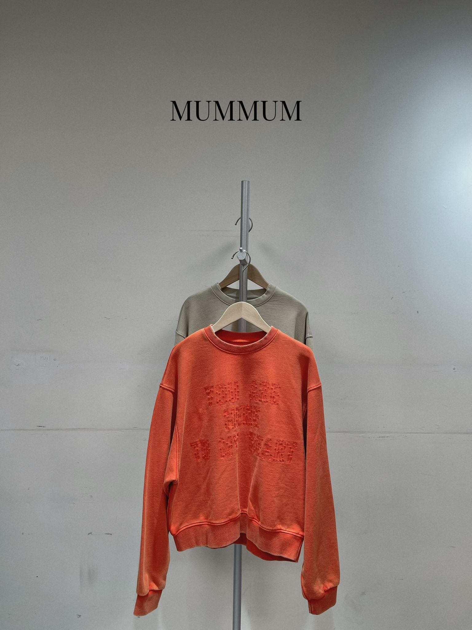 0213059a/約隱約現字母款衛衣 44/36/23