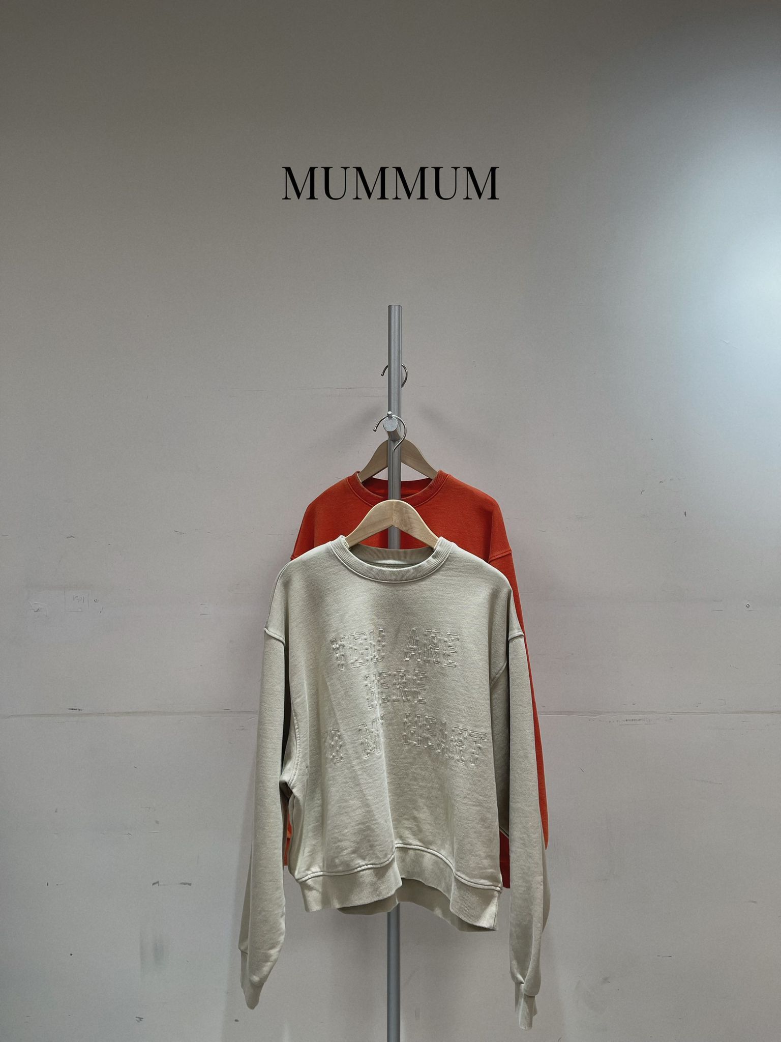 0213059a/約隱約現字母款衛衣 44/36/23