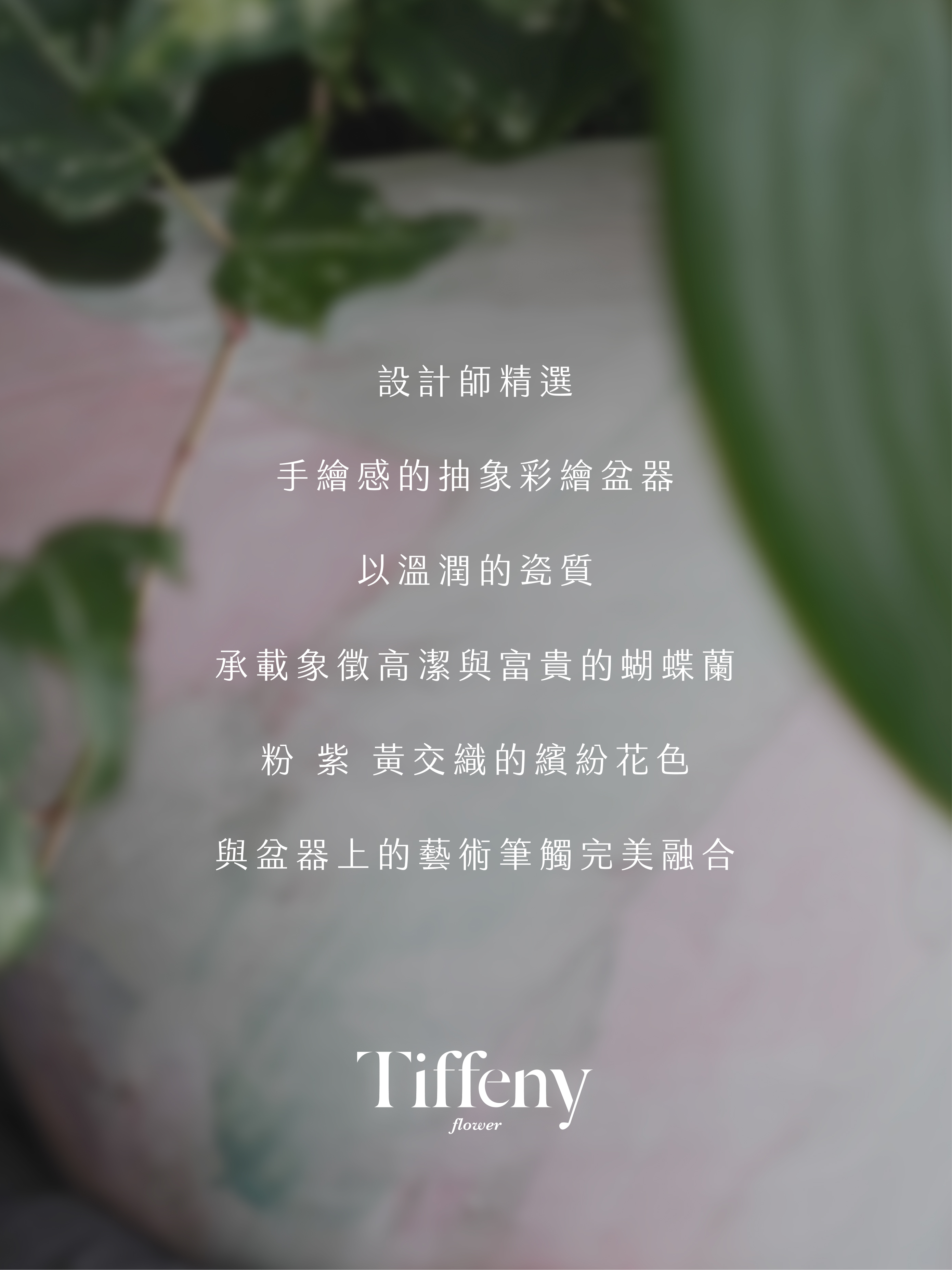 粉嫩蝴蝶蘭 絢彩聚寶瓮