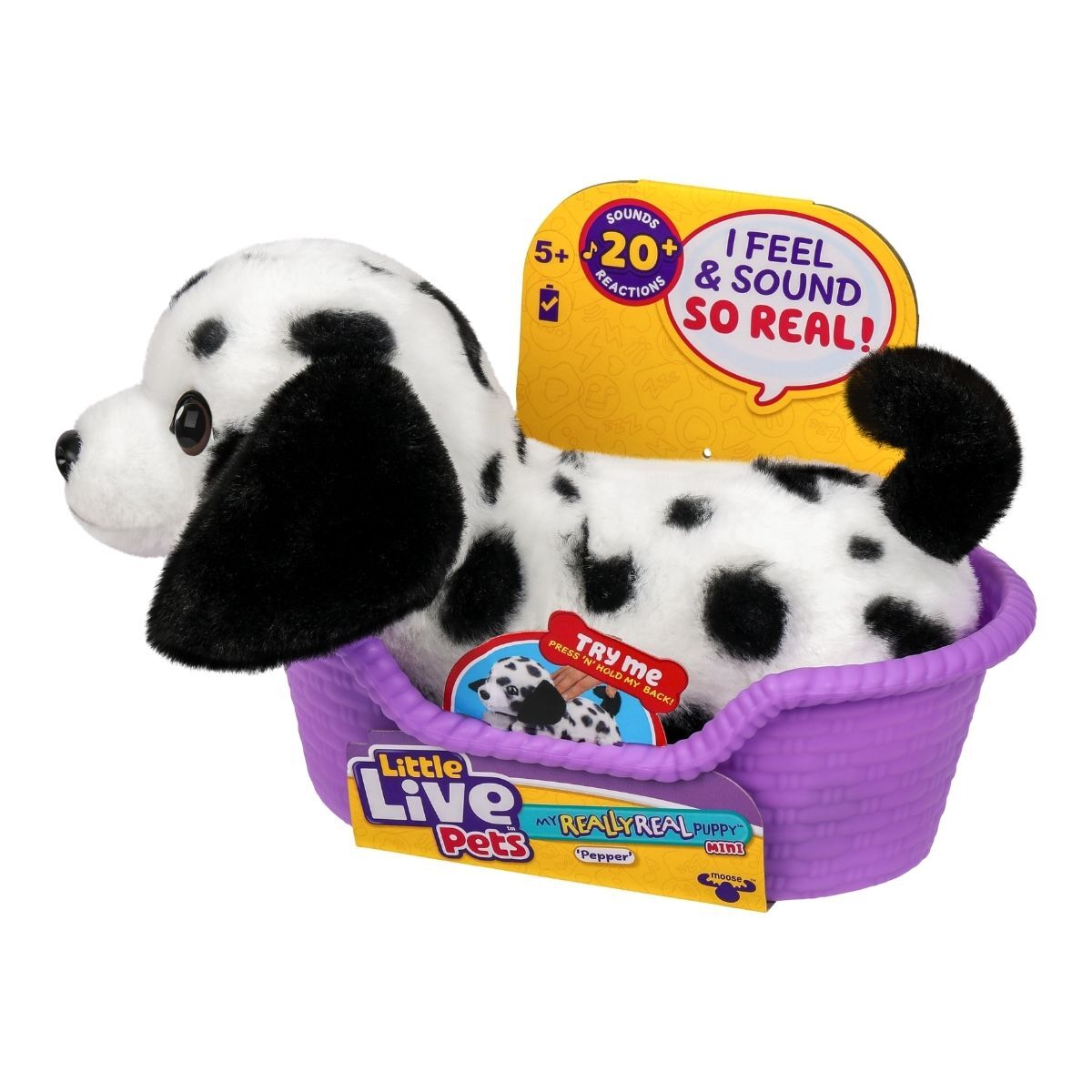 我的小寵物-袖珍小狗-PEPPER