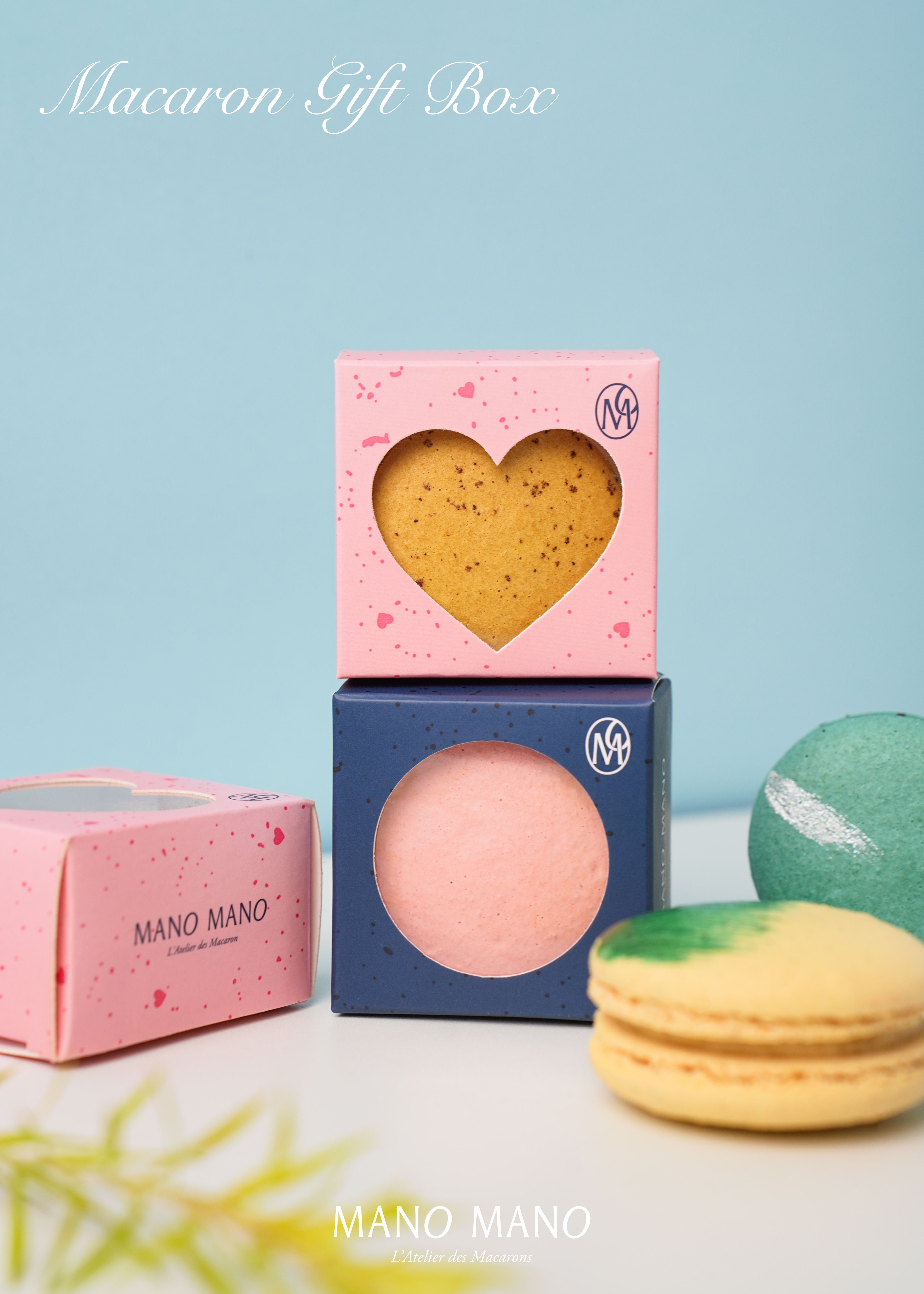 經典單入馬卡龍禮盒