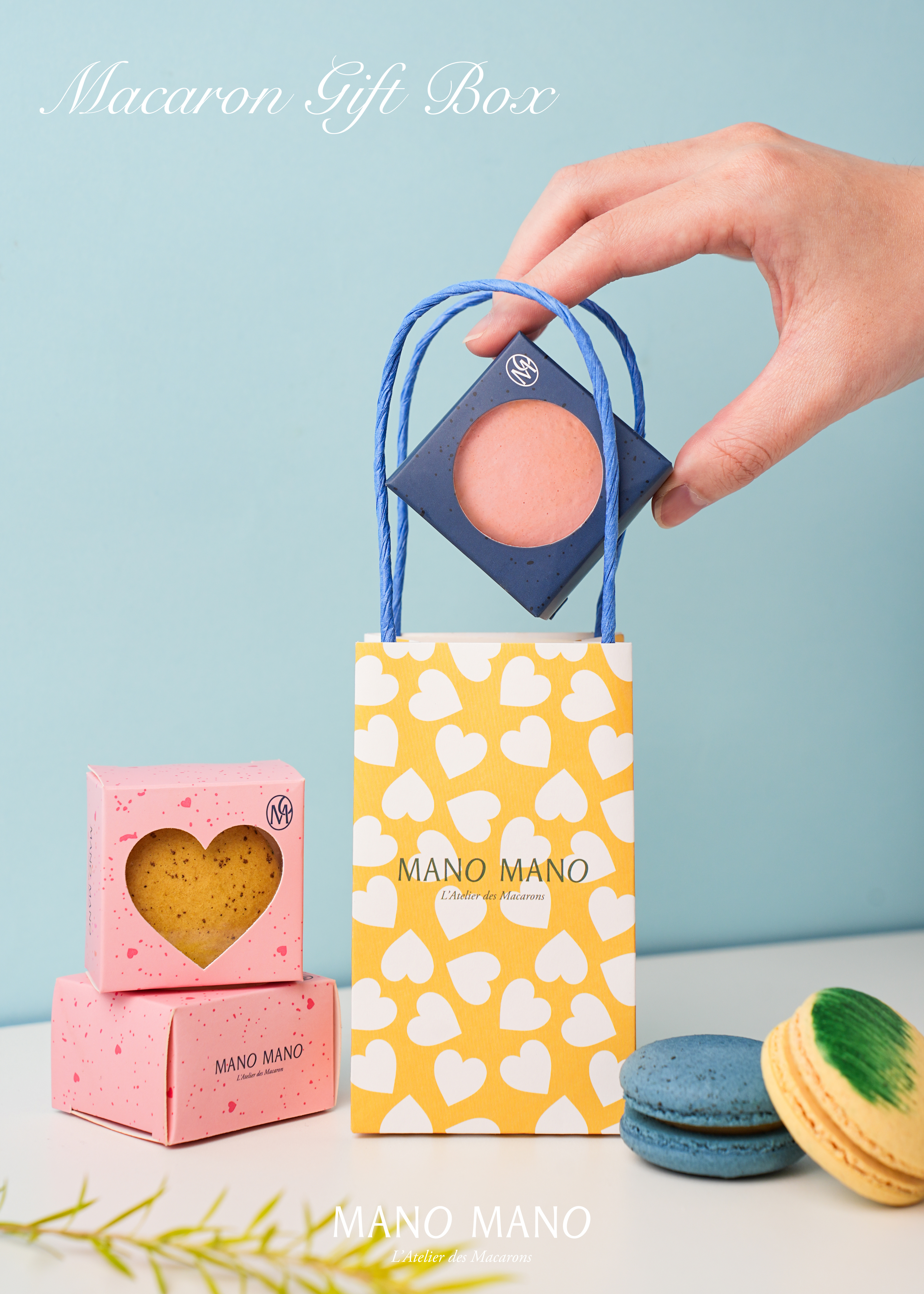 經典單入馬卡龍禮盒