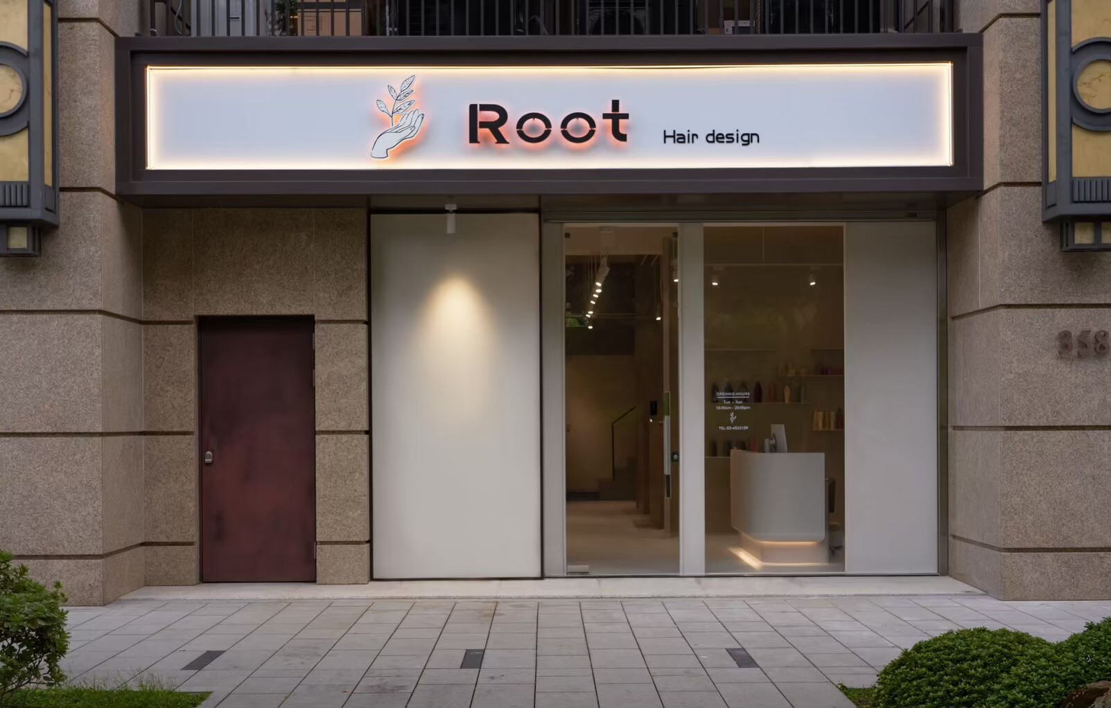 Root